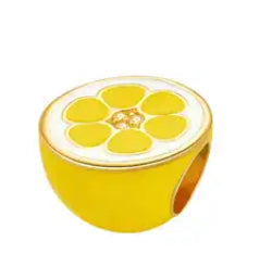 Charm naranja(BB60)