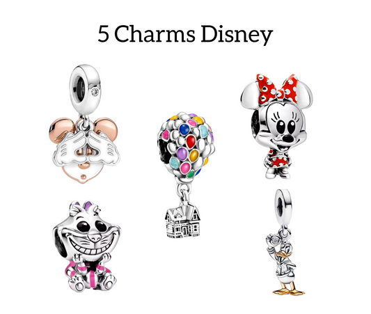 Set 5 Charms Disney
