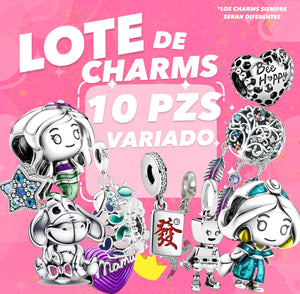 Lote de 10 charms variados