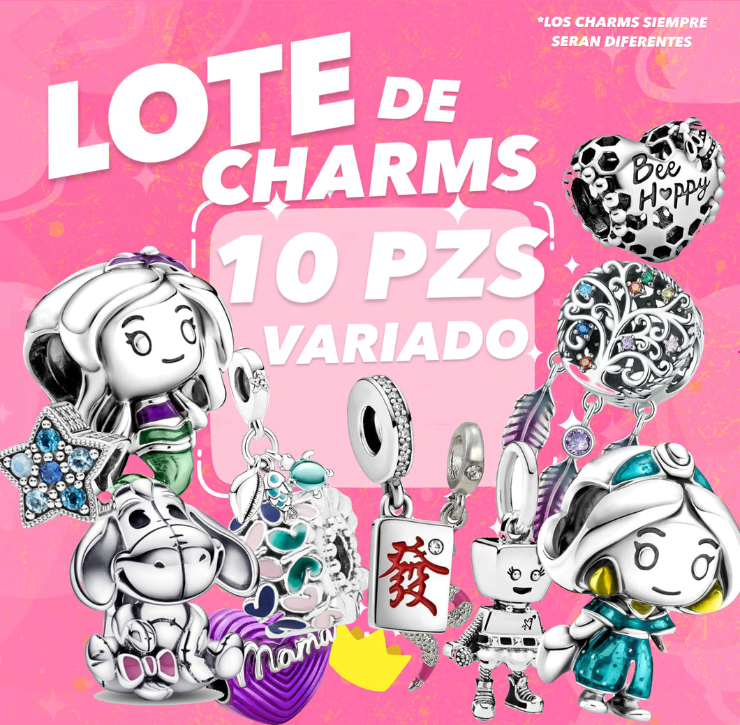 Lote de 10 charms variados